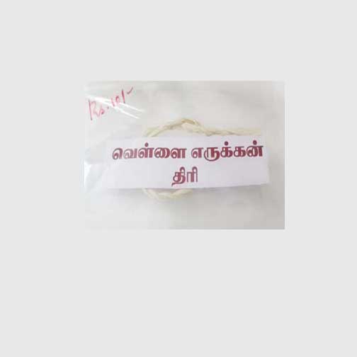 VELLAI ERUKKAN THIRI - 1pcs