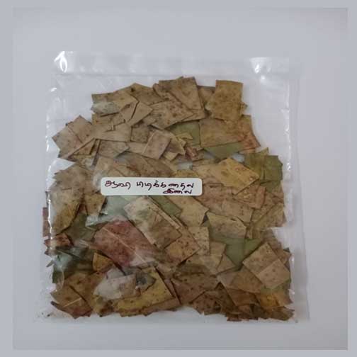 EUCALYPTUS - AAVI PUDIKUM THAILA ILAI - 25gm